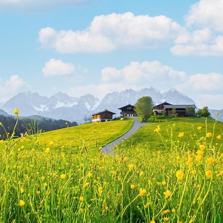 키츠부헬 Mountain Vista - Bio Yoga Hof 아파트 외부 사진