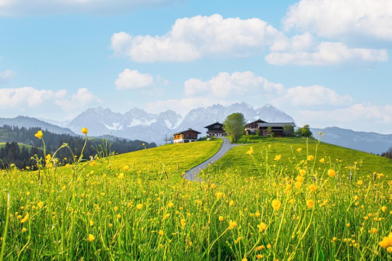 키츠부헬 Mountain Vista - Bio Yoga Hof 아파트 외부 사진